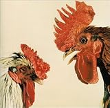 CD Cover