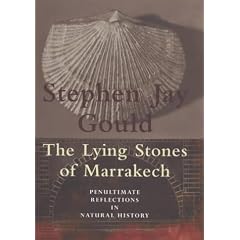 The Lying Stones of Marrakech: Penultimate Reflections in Natural History