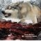 Essential Stoner Rock