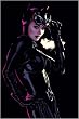 Catwoman #46 Poster By Adam Hughes 24" x 34"