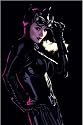 Catwoman #46 Poster By Adam Hughes 24" x 34"