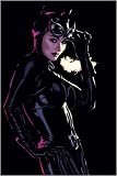 Catwoman #46 Poster By Adam Hughes 24" x 34"