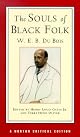 The Souls of Black Folk (Everyman's Library)