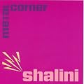 Metal Corner