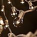 Hometown Evolution, Inc. 50 Foot G40 Globe Patio String Lights with Clear Bulbs (White Wire)