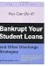 Bankrupt Your Student Loans: And Other Discharge Strategies
