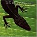 Music for chameleons