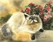 Fur and Flowers by Drew Strouble