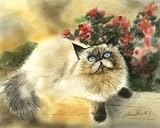 Fur and Flowers by Drew Strouble