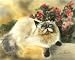Fur and Flowers by Drew Strouble