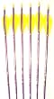 Feather Fletched Easton XX75 Blues Arrows 6-pack, 29IN, 1916