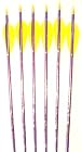Feather Fletched Easton XX75 Blues Arrows 6-pack, 30IN, 1816