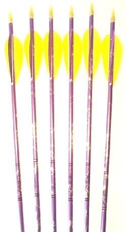 Childrens Toyshop  Sporting Goods : Feather Fletched Easton XX75 Blues Arrows 6-pack, 28IN, 1916