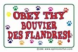 Obey thy BOUVIER DES FLANDRES Youth T-Shirt for boys or girls