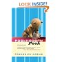 Postmodern Pooh (Rethinking Theory)