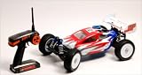 Lima Pro 1:10 scale RC Monster buggy with autostart