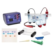 Edvotek 5061 Demonstration DNA Electrophoresis LabStation