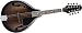 Ibanez Ibanez M510 A-Style mandolin, Dark Violin Sunburst