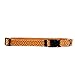 Yellow Dog Design Cleo Orange Dog Collar 3/8