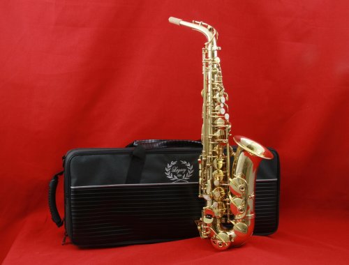 Legacy AS750 Student Intermediate Alto Saxophone with Case Accessories