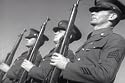 Classic WWII Propaganda Films DVD: US Army Military Propaganda Movies (from the World War WW2 Collection)