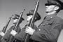Classic WWII Propaganda Films DVD: US Army Military Propaganda Movies (from the World War WW2 Collection)