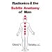 Radionics and the Subtle Anatomy of Man