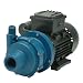 Finish Thompson DB3P-M612 Centrifugal Magnetic Drive Pump, Polypropylene, 1/8 HP, 115V, 1 Phase, 20.4 Max Feet of Head, 15.1 gpm