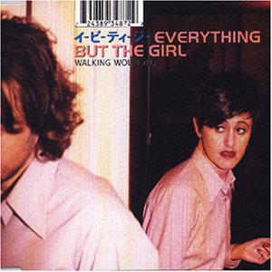 Everything - Walking Wounded - Zortam Music