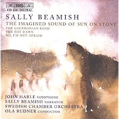 Beamish - The Imagined Sound of Sun on Stone etc