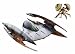 Star Wars E3 DF12 VULTURE DROID