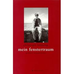 mein fenstertraum. gedichte, kurzgeschichten.
