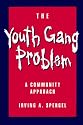 The Youth Gang Problem: A Community Approach