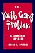 The Youth Gang Problem: A Community Approach