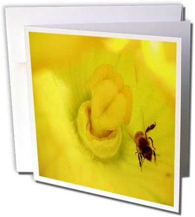 Sandy Mertens Flower Designs - Zucchini Flower With Bee - 6 Greeting Cards with envelopes (gc_6272_1)