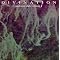 The best Bill Laswell albums to date (6) in no order