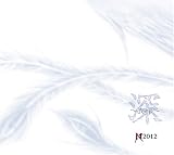 深~deep~