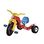Grow with Me Trike