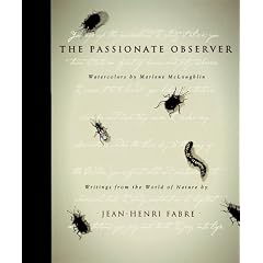 Passionate Observer