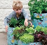 Review The Urban Garden  / 3 vegetable patio planters - made of tough polyethylene
