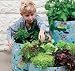 Outdoor Living : 3 vegetable patio planters - made of tough polyethylene