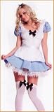  : Alice Costumes Adult Alice Halloween Costume