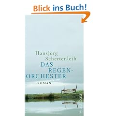 Das Regenorchester: Roman