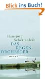 Das Regenorchester: Roman