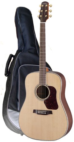 Walden Acoustic Guitars Walden Guitars D600 Natura Series Dreadnought Guitar On Sale