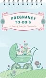 Pregnancy to-Do`s: A Book of Lists for Moms-to-Be