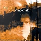 Down Incognito (French Import)