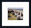 Fort Sumter National Monument Photos Parks