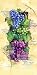 In guter Gesellschaft von Linda Hutchinson, 26x51