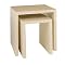 Victoria Hagan® Sean Faux-Stingray Nesting Tables - Buff